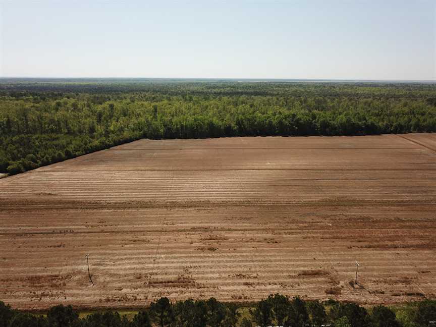 tyrrell County, North Carolina property for sale