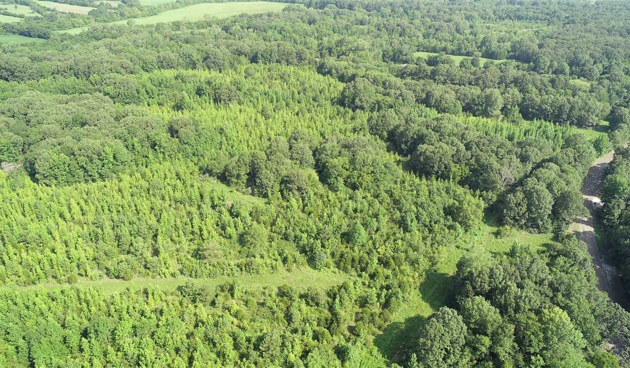 Saltillo land available for purchase