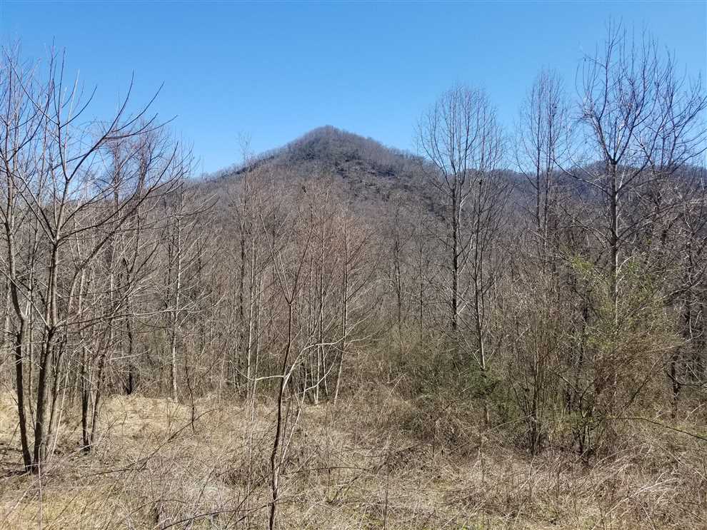 80 Acres of Residential land for sale in Bryson City, swain County, North Carolina