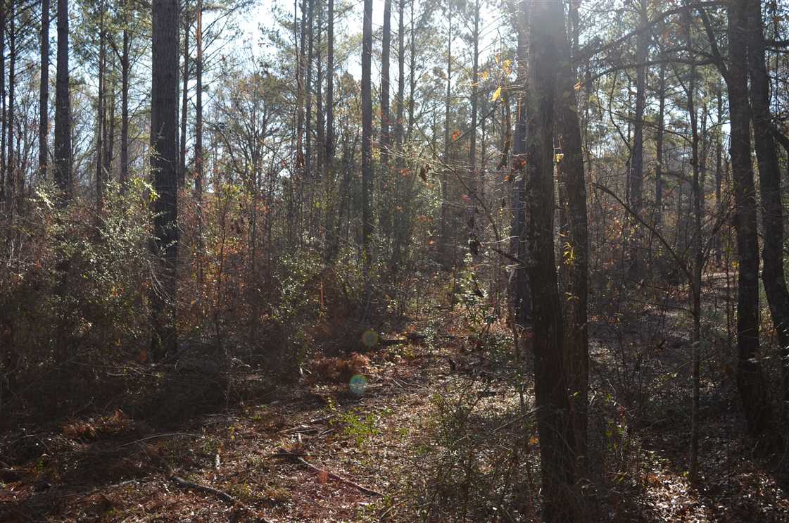 15 Acres of Land for sale in macon County, Alabama
