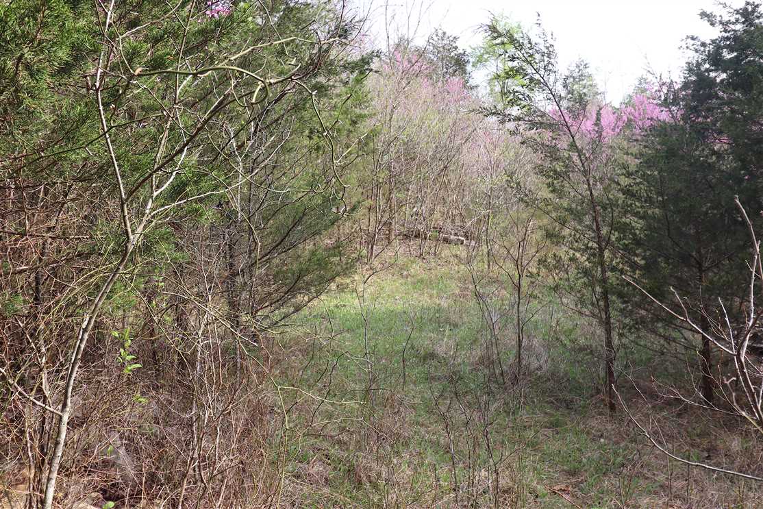 Houses and land for sale in Arkansas