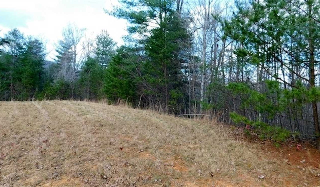 19.32 Acres of Residential land for sale in Big Island, bedford County, Virginia