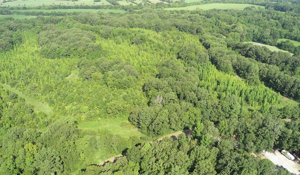 Timberland real estate available to buy