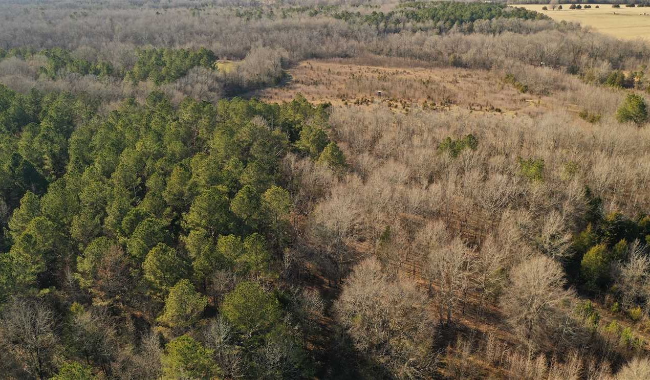 Beautiful homestead on Waverly Road, West Point Ms 39773 Real estate listing