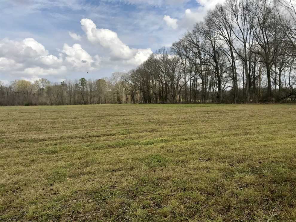 240 acres of  fine farm and hunting land in Claiborne County, Mississippi Real estate listing