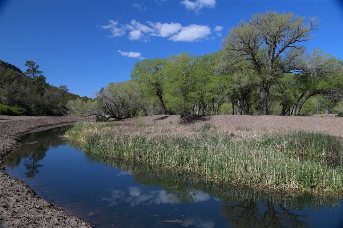 68 Acres of Land for sale in catron County, New Mexico