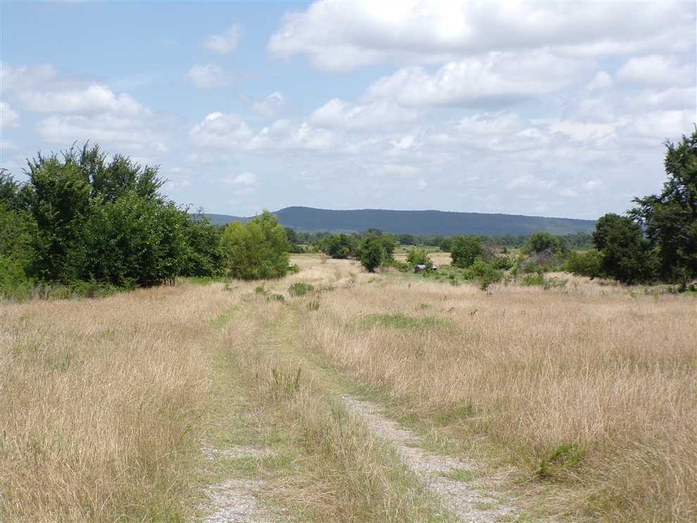 77.47 Acres of Residential land for sale in Daisy, atoka County, Oklahoma