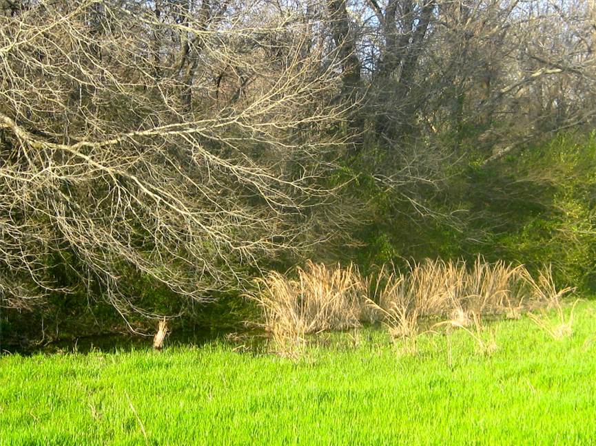 west carroll County, Louisiana property for sale