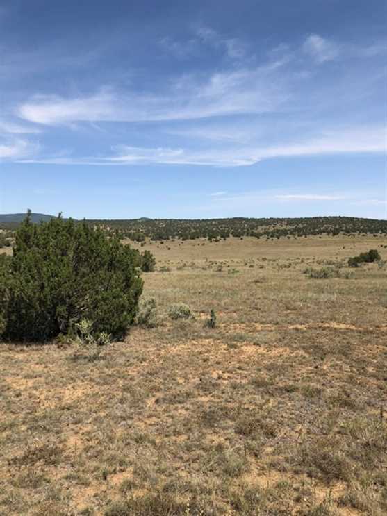 21.6 acres not far from Ruidoso NM Real estate listing