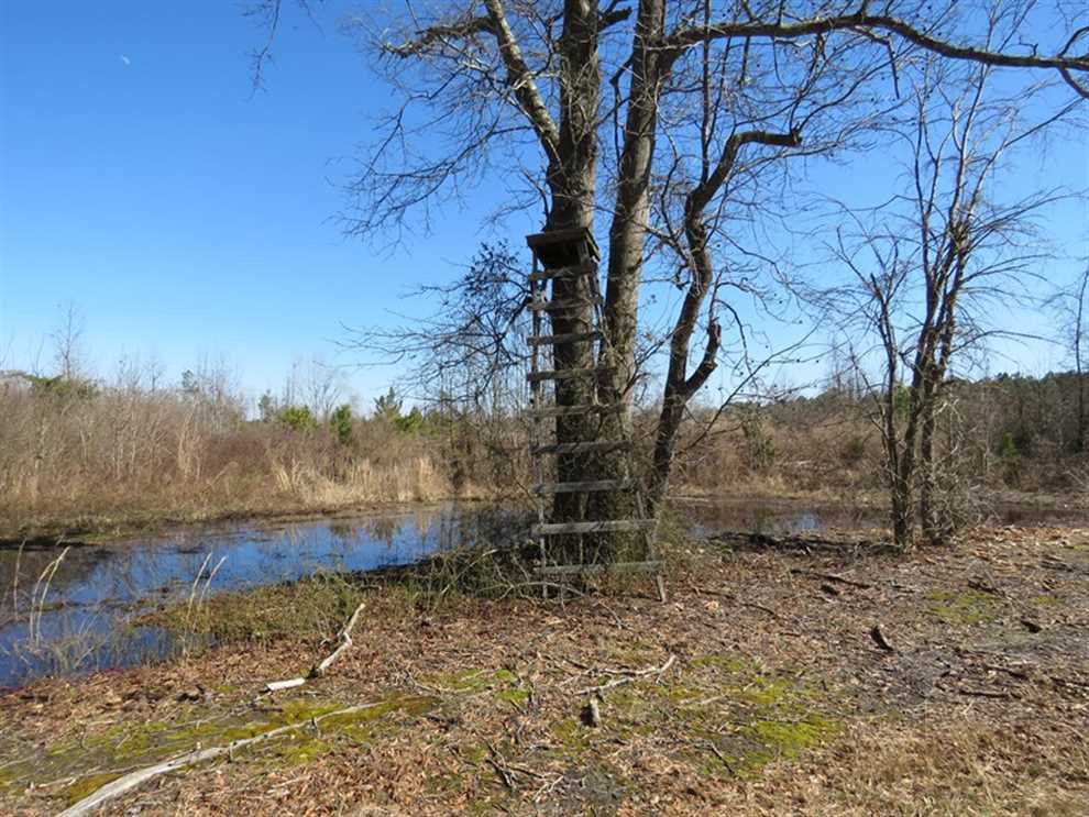 Houses and land for sale in North Carolina