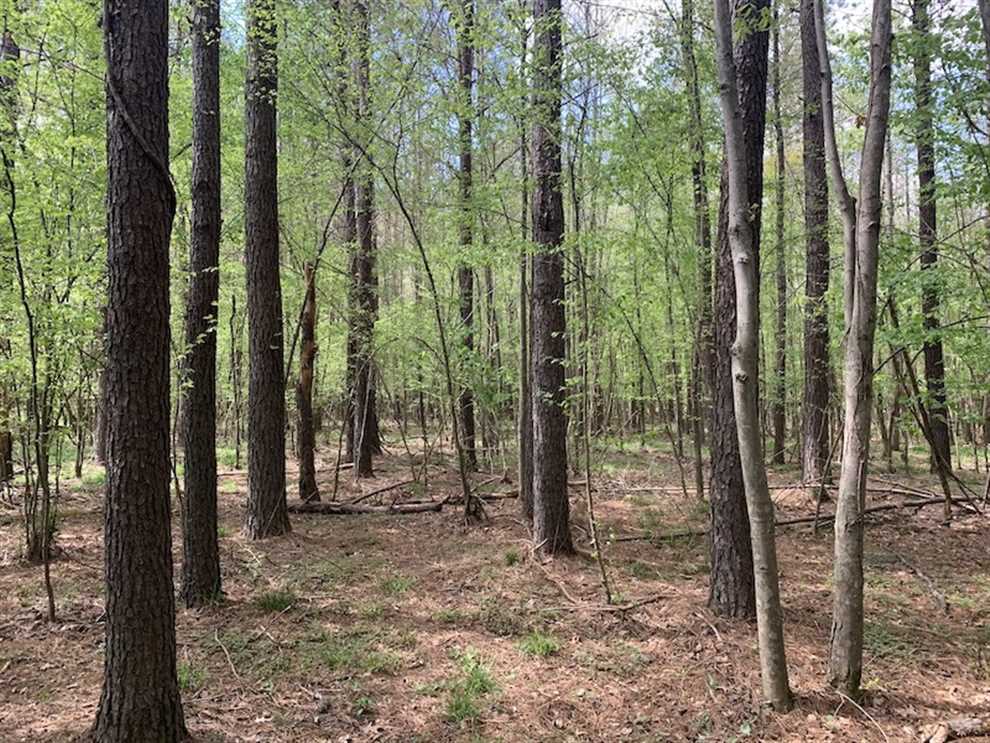 Houses and land for sale in North Carolina