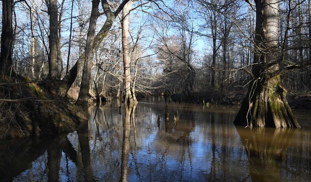Houses and land for sale in Arkansas
