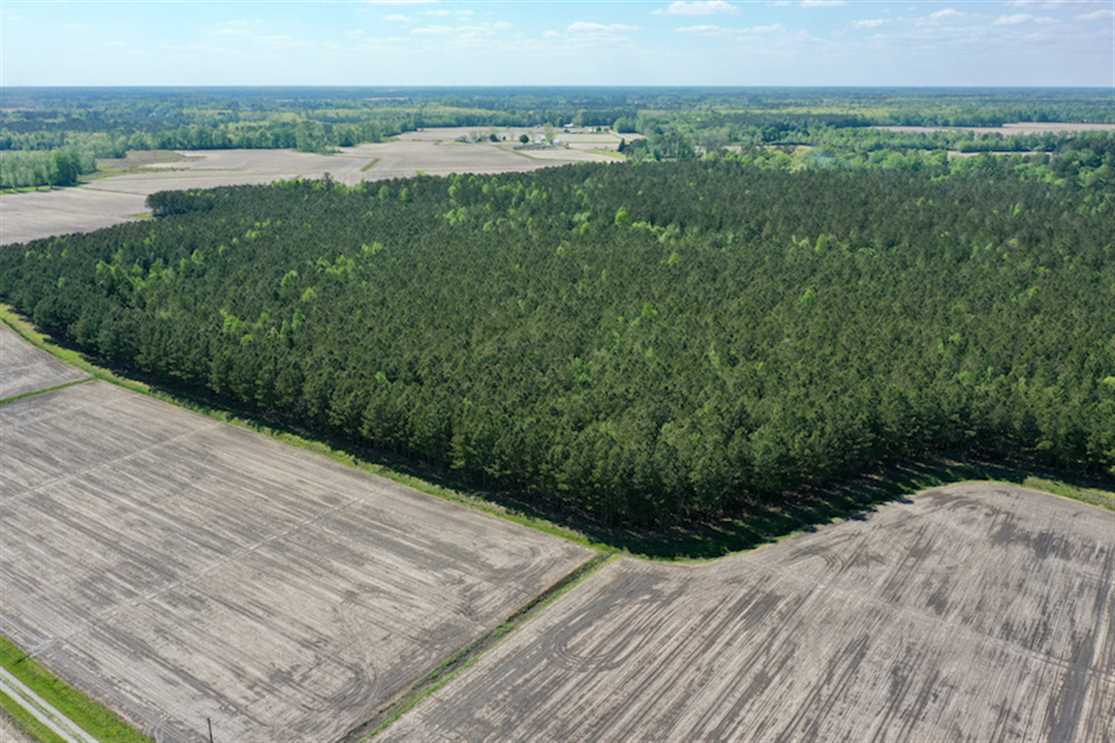 36 Acres of Land for sale in craven County, North Carolina