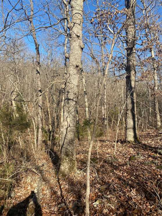 benton County, Missouri property for sale