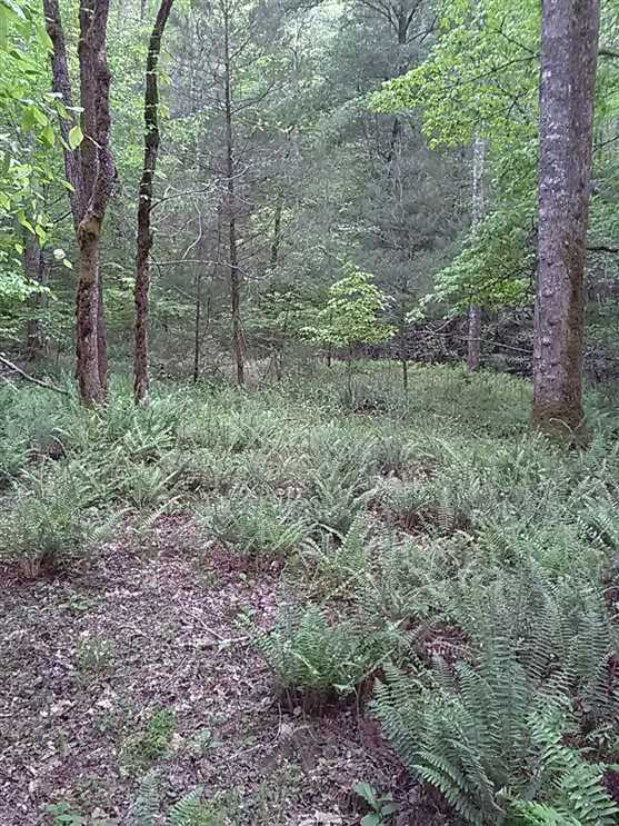 24 Acres of Land for sale in clay County, North Carolina