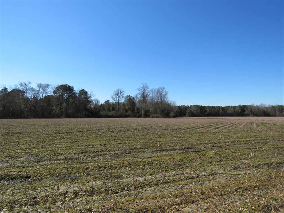 Property for sale at 3431 AB Carter Road