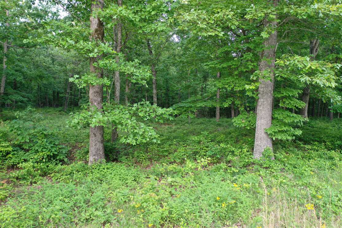 5.01 Acres of Land for sale in humphreys County, Tennessee