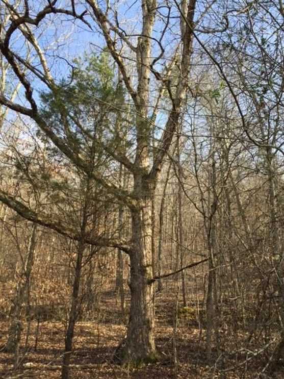 70 Acres of Land for sale in marion County, Tennessee