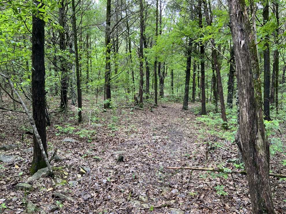 8 Acres of Residential land for sale in Evening Shade, sharp County, Arkansas