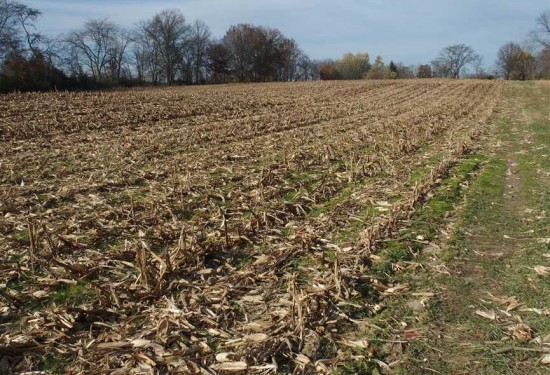 9.67 Acres of Land for Sale in hamilton County Indiana