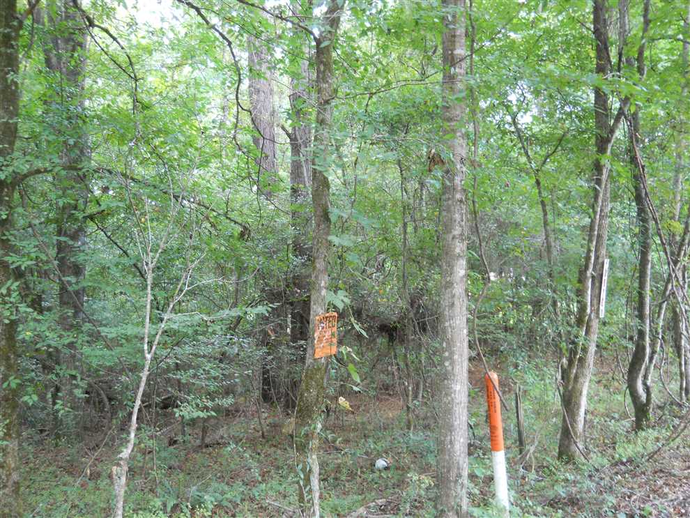 Property for sale at