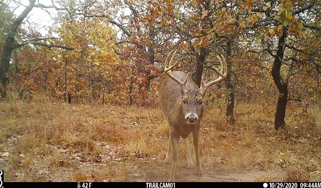 Houses and land for sale in Kansas