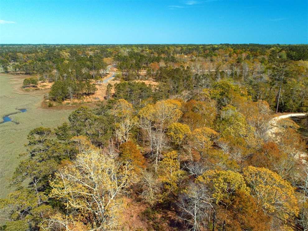 Land for sale to buy in 28462 zip code