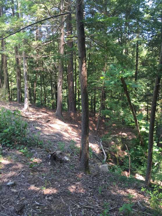 13 Acres of Residential land for sale in Double Springs, winston County, Alabama