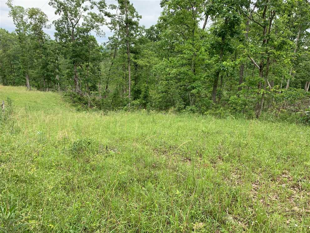 34.56 Acres of Land for sale in crawford County, Missouri