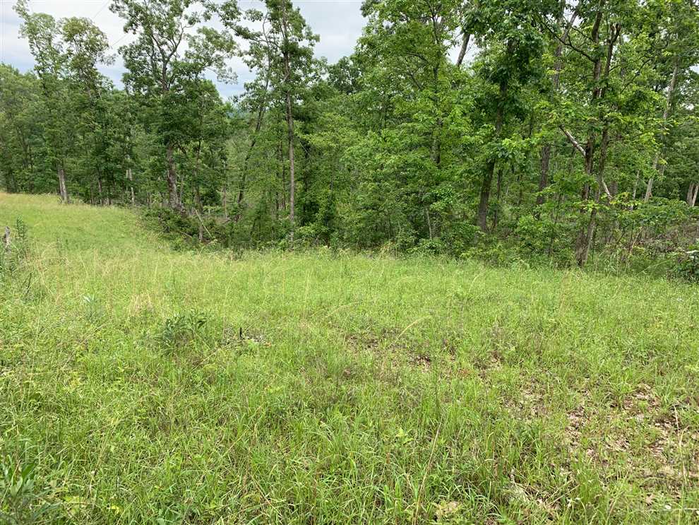 34.56 Acres of Land for sale in crawford County, Missouri