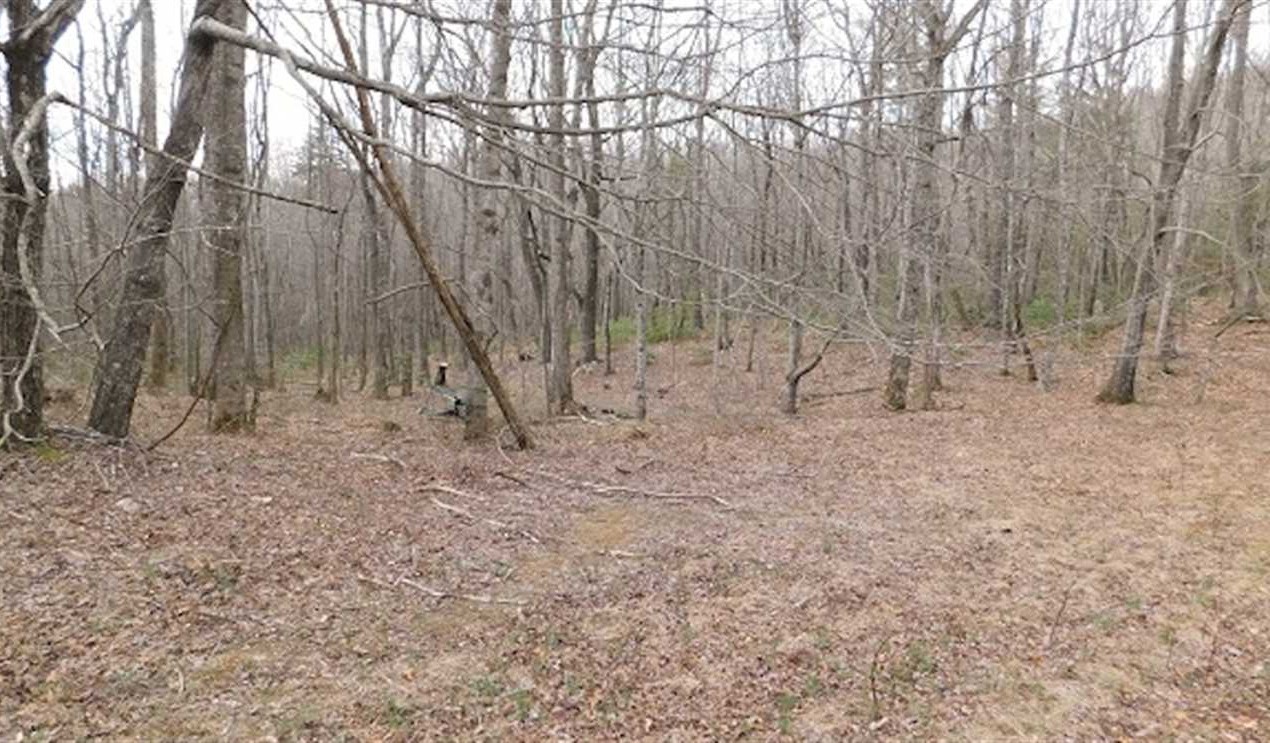 patrick County, Virginia property for sale