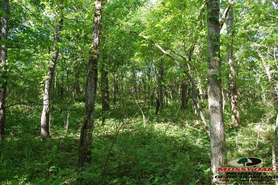property for sale on The Land Market