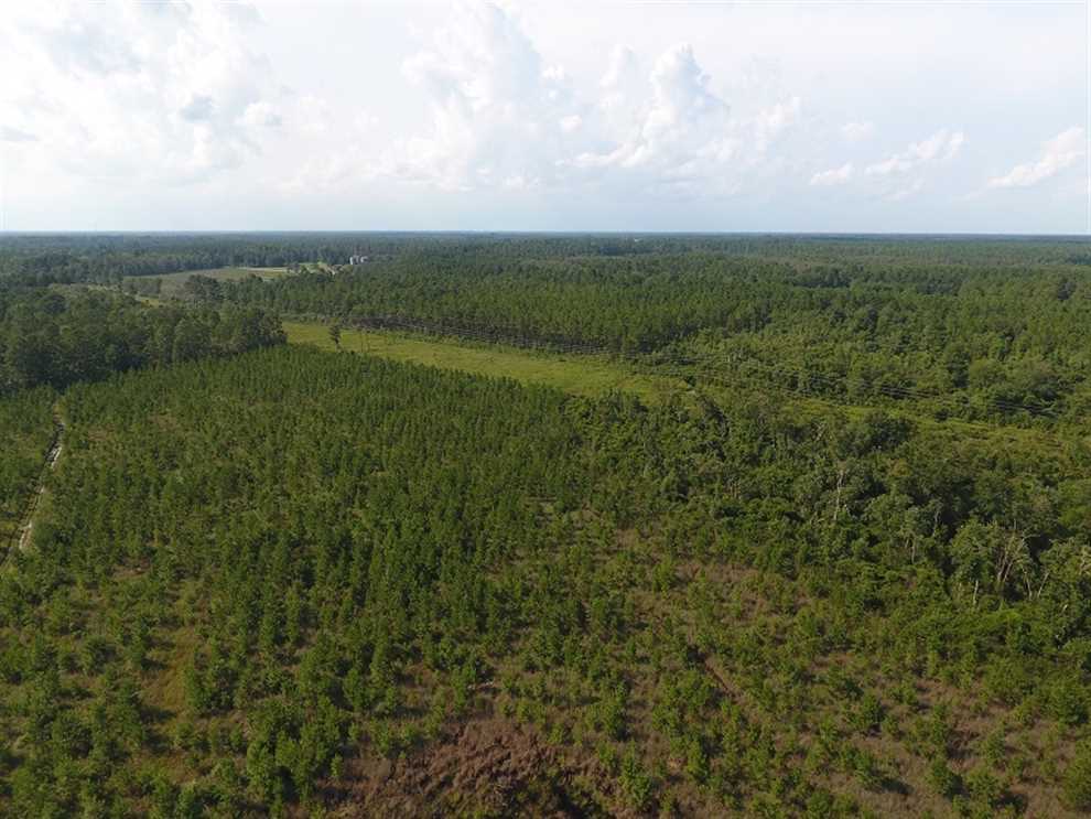 Residential and   property for sale on The Land Market