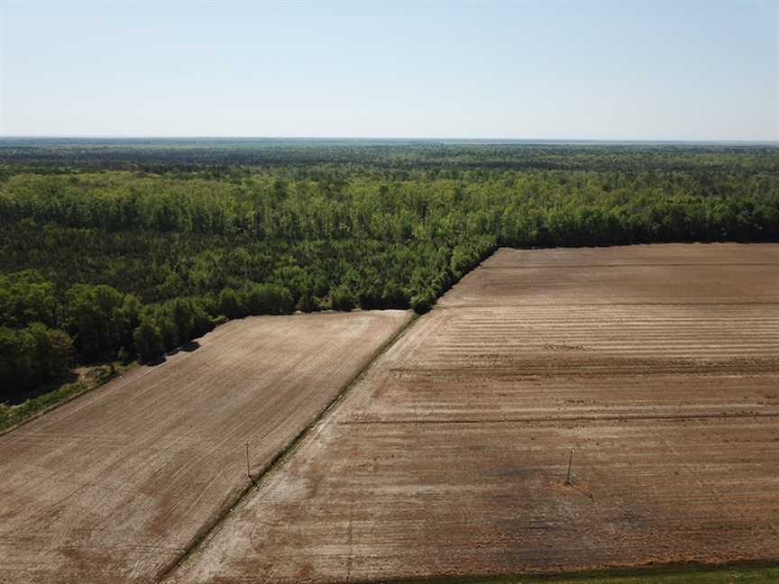 83 Acres of Land for sale in tyrrell County, North Carolina