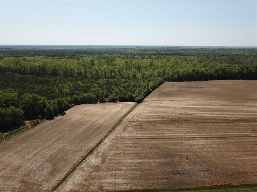 83 Acres of Land for sale in tyrrell County, North Carolina