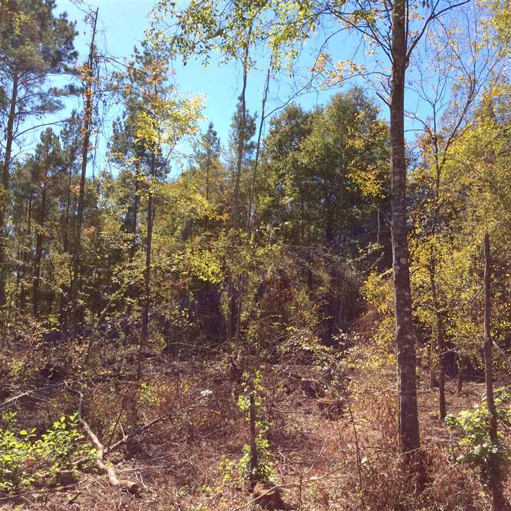 Property for sale at Reitzell Road