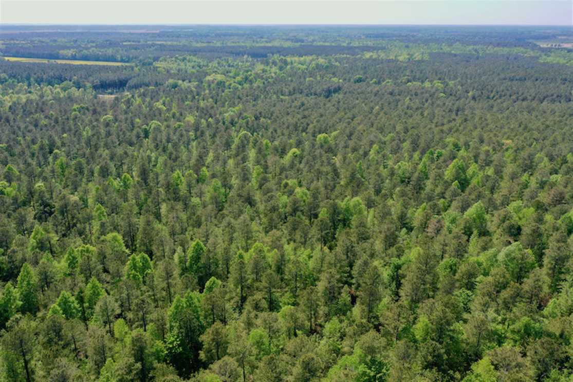 Residential and   property for sale on The Land Market
