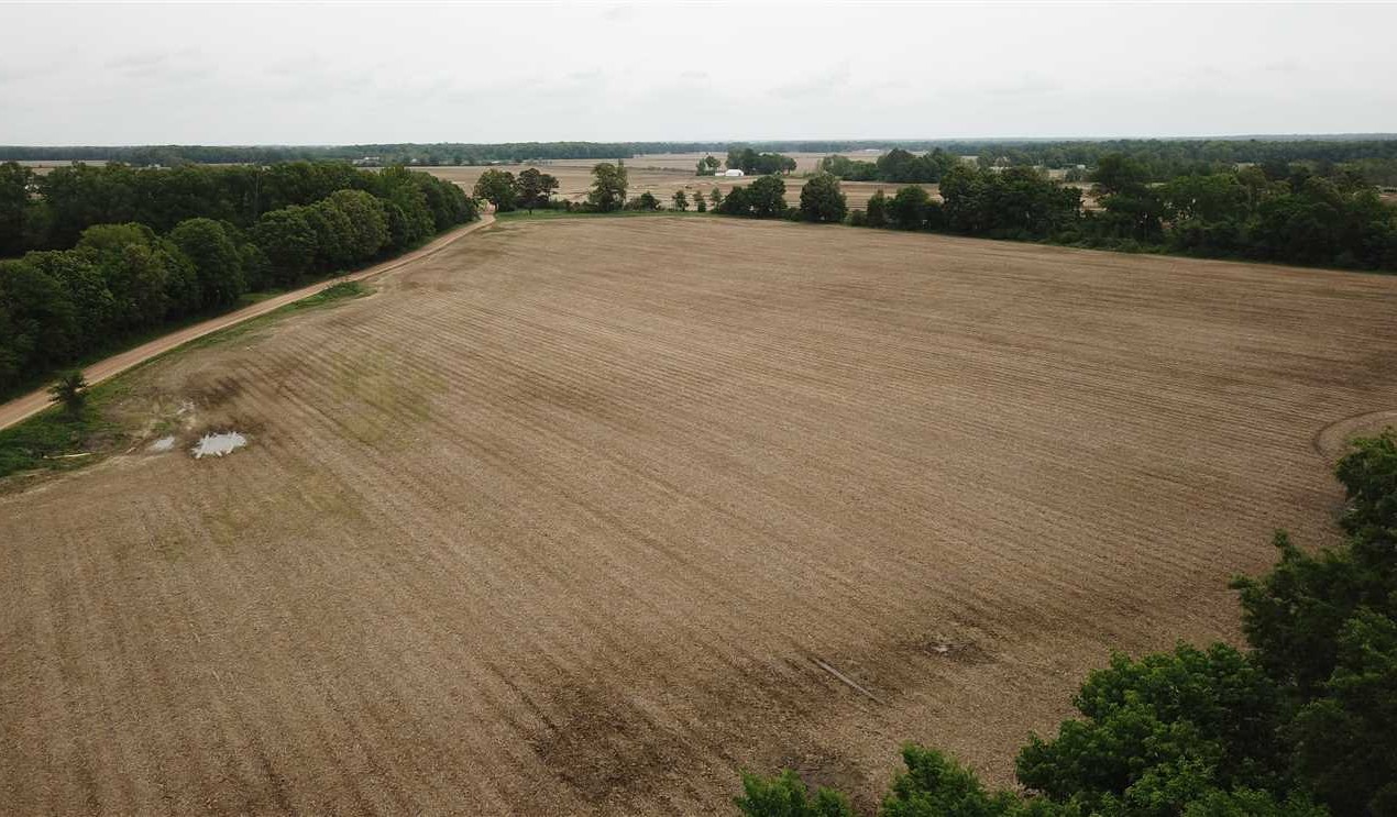 Farmland real estate available to buy