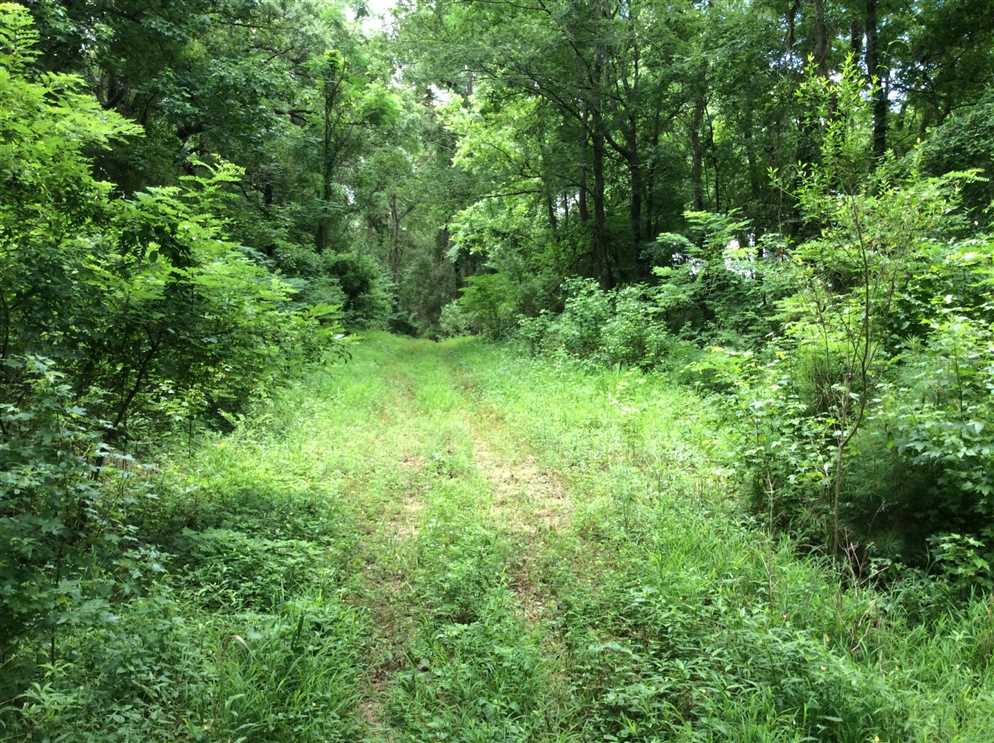 Property for sale at