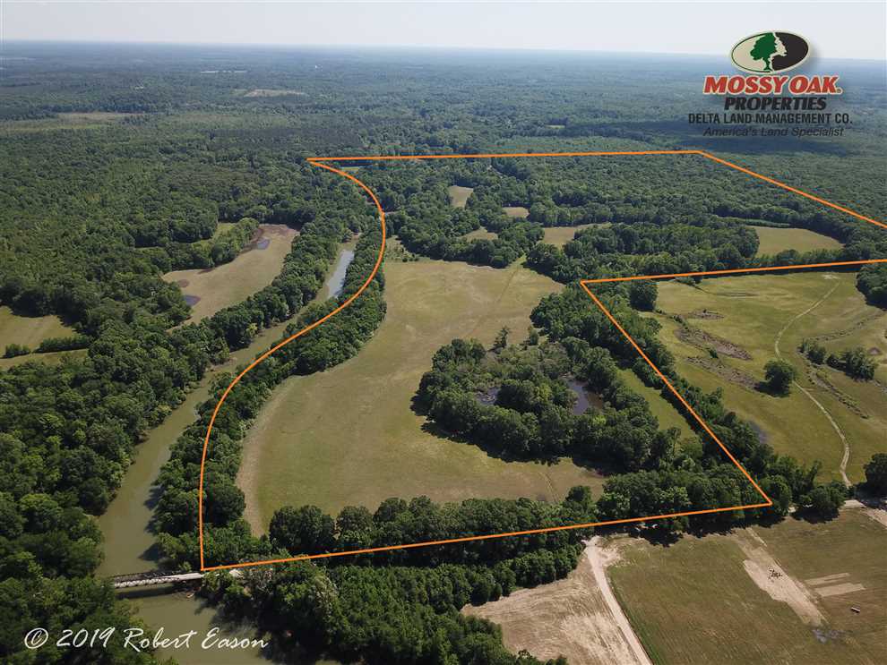 Timberland real estate available to buy