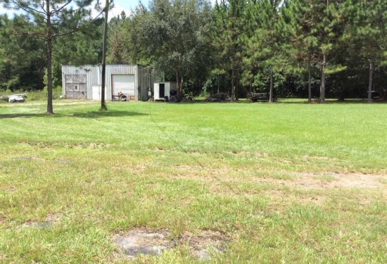 11 Acres of Land for Sale in beauregard County Louisiana
