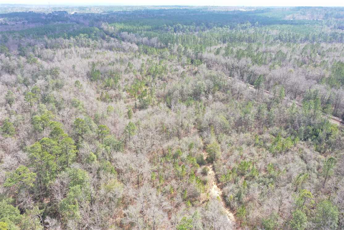 353 Acres of Land for sale in escambia County, Alabama