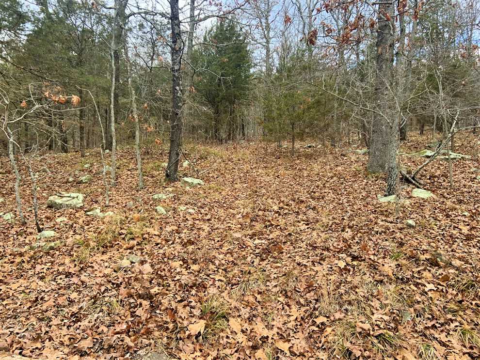 Land for sale to buy in 72727 zip code