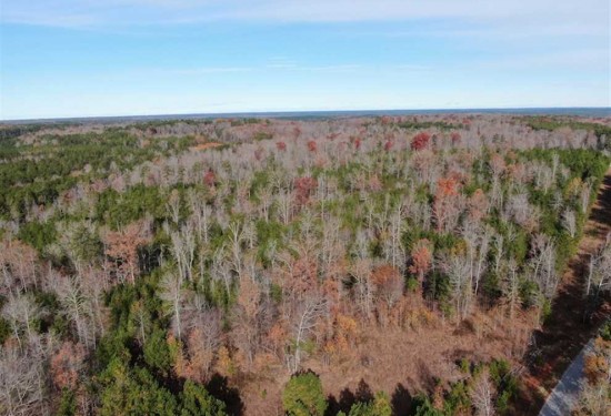 42 Acres of Land for Sale in fairfield County South Carolina