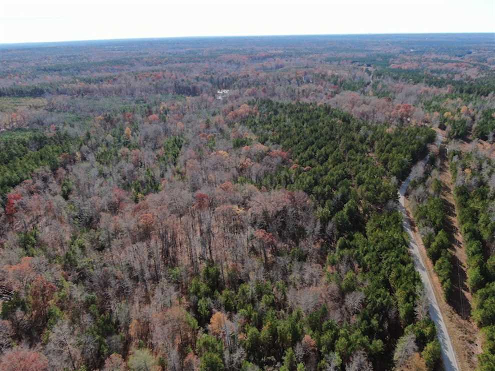 105 acres of Hunting and Timberland For Sale in Fairfield County SC! Real estate listing