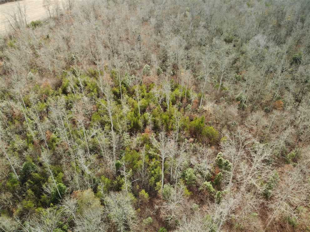 Land for sale at 75 ac Petty Road