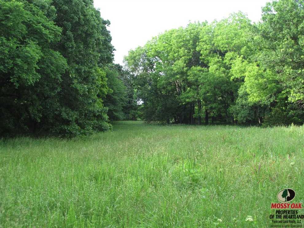 montgomery County, Kansas property for sale
