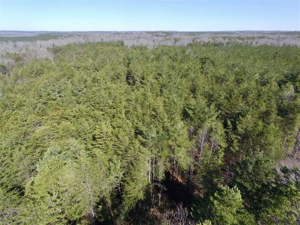 lunenburg County, Virginia property for sale