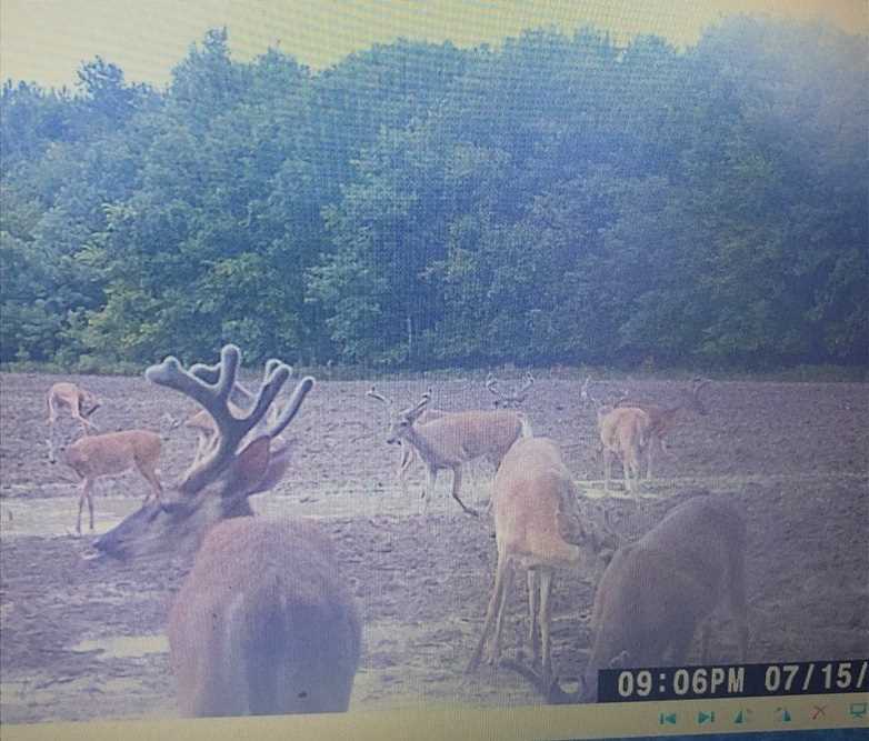 noxubee County, Mississippi property for sale