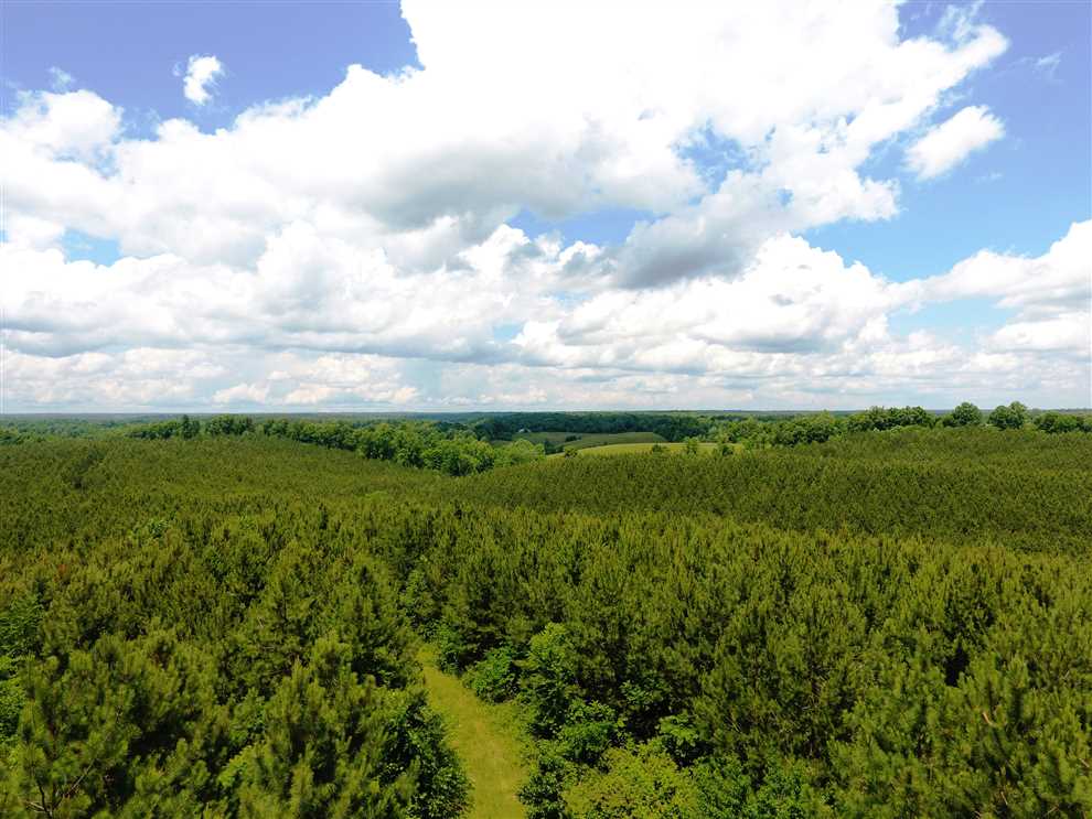 143 Acres of Land for sale in lawrence County, Tennessee